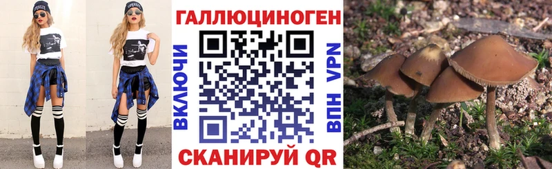 darknet клад  Майский  Галлюциногенные грибы Magic Shrooms 